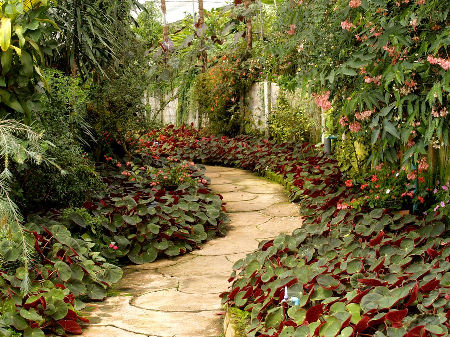 Grounds and landscaping at a commercial property